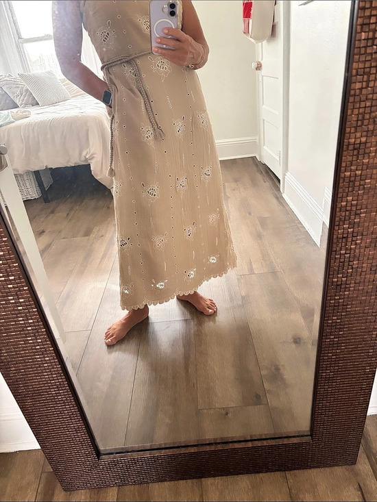 Sea New York Dresses & Skirts - Sea New York Embroidered Floral Midi Dress in Brown